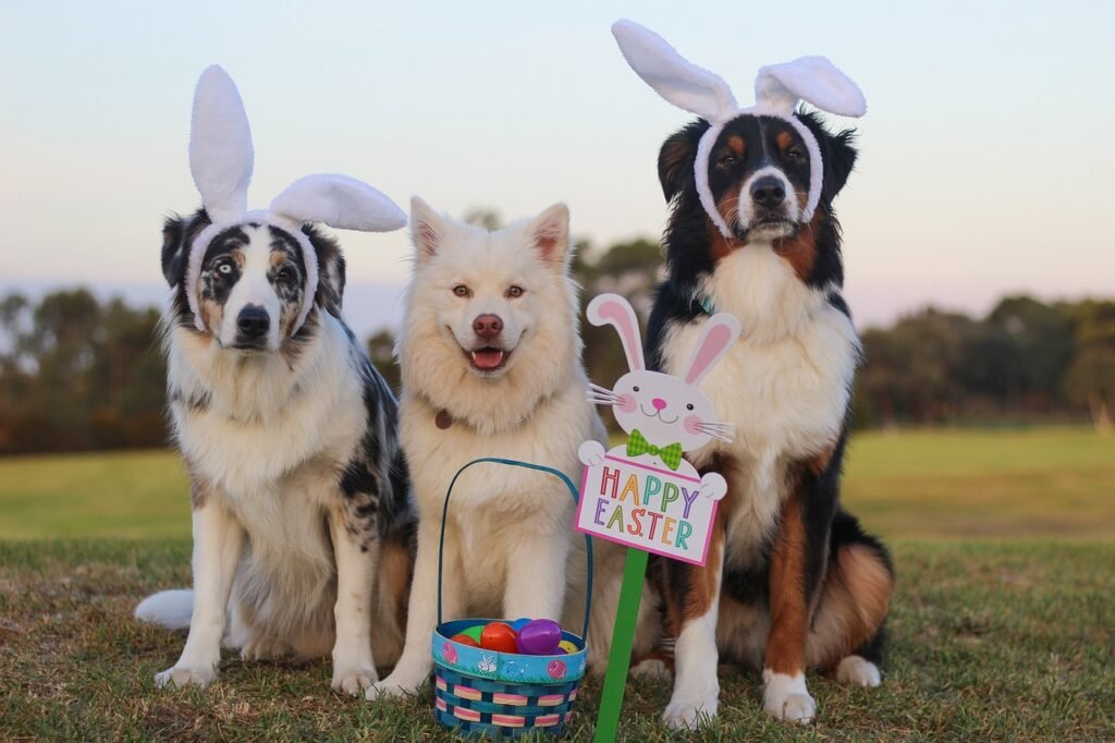 Easter bunny dog ear wearing happy easter iimage three dogs